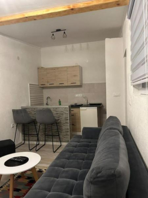 Apartman centar- Bjelave